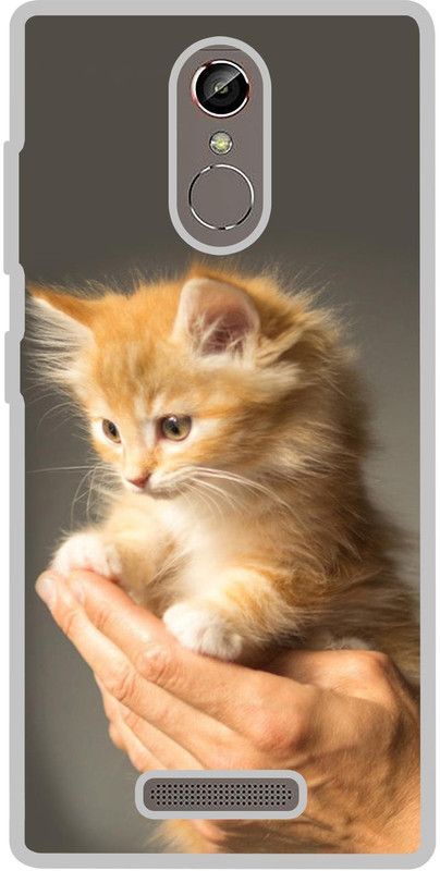 Casotec Back Cover for Gionee S6s  (Multicolor, Silicon, Pack of: 1)