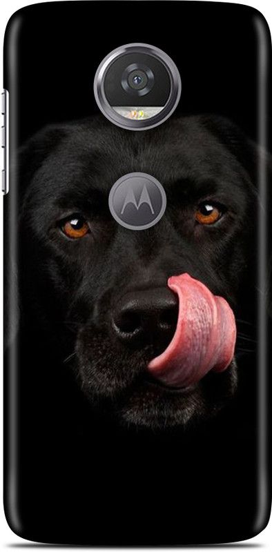 Exclusivebay Back Cover for Motorola Moto Z2 Play  (Multicolor, Pack of: 1)