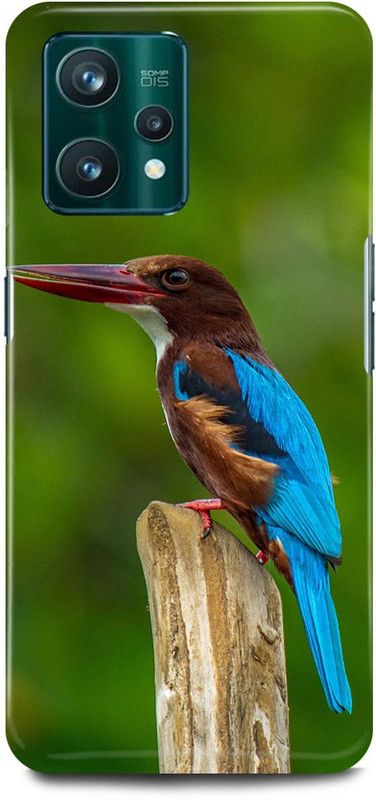FIKORA Back Cover for Realme 9 Pro Plus 5G, PARROT, COLORFULL, BIRD, KINGFISHER  (Green, Hard Case)