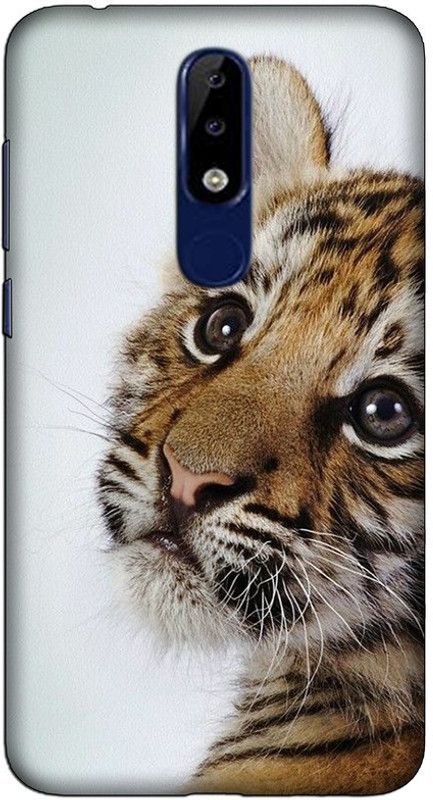 CROKIAN Back Cover for Nokia 6.1 Plus Lion Puppy Back Cover  (Multicolor, Hard Case, Pack of: 1)