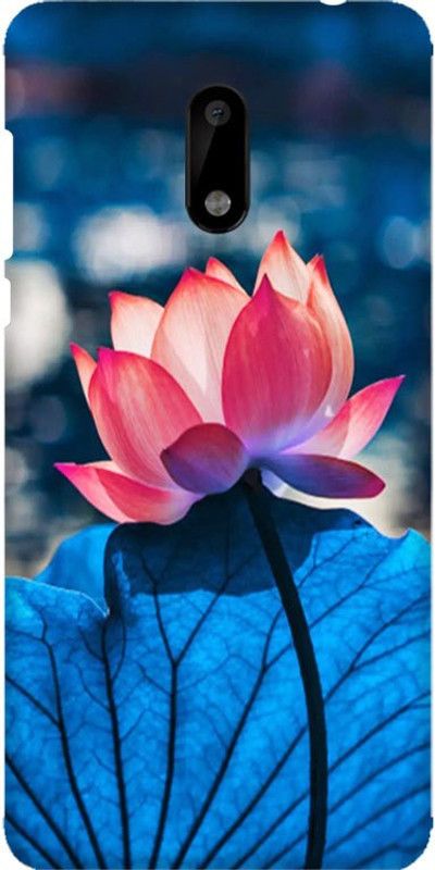 Bingal Back Cover for Nokia 6  (Multicolor, 3D Case, Pack of: 1)