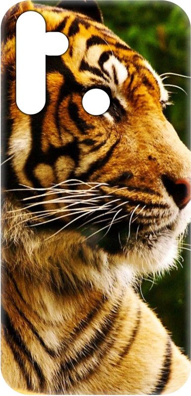 Smutty Back Cover for Realme 5 Pro, RMX1971 - Tiger Print  (Multicolor, Hard Case, Pack of: 1)