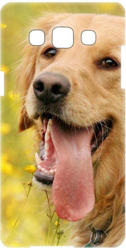 Smutty Back Cover for Samsung Galaxy J7 - 6 (New 2016 Edition), J710F - Dog Print  (Multicolor, Hard Case, Pack of: 1)