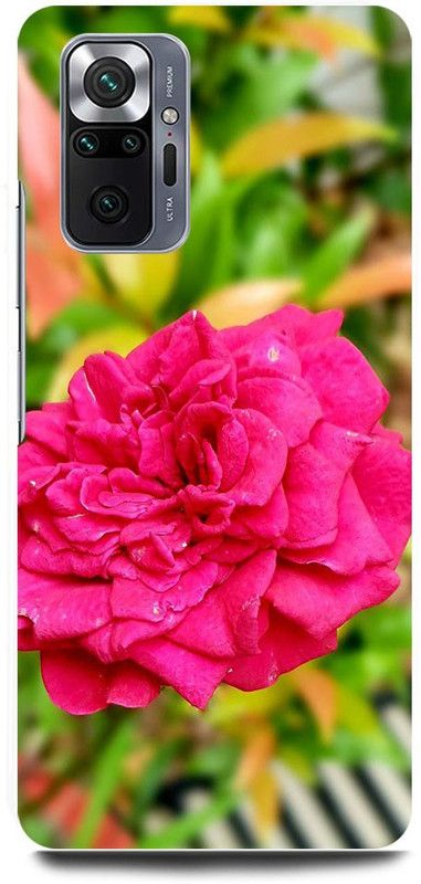 FRONK Back Cover for REDMI Note 10 Pro Max, RED, ROSE, ROSES, FLOWER  (Pink, Hard Case)