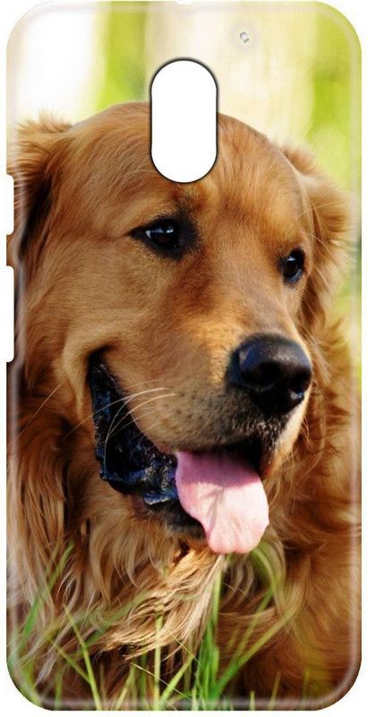 Smutty Back Cover for Motorola Moto E3 Power, XT1706 - Dog Print  (Multicolor, Hard Case, Pack of: 1)