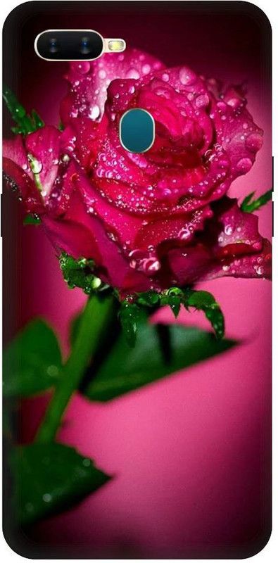 URCHIN Back Cover for Oppo A5 Rose, Roses, Red rose, Flower  (Multicolor, Shock Proof, Pack of: 1)