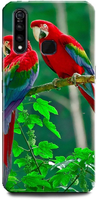 Afterglow Back Cover for Vivo Z1Pro PARROT, NATURAL, NATURE, TROPICAL, BIRDS, PARROT COUPLE, CUTE, BEAUTIFUL  (Multicolor, Shock Proof, Pack of: 1)