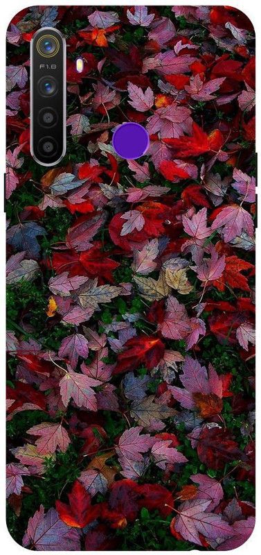 Wall Art Back Cover for Realme 5  (Multicolor, Pack of: 1)