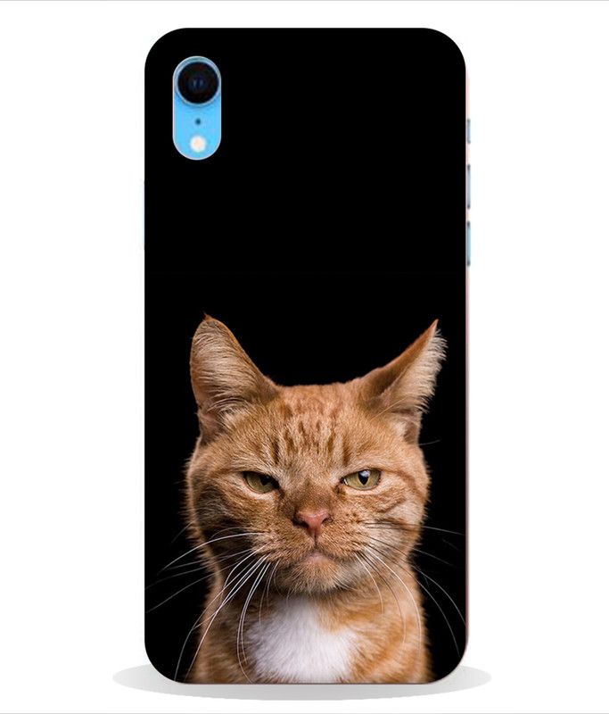 LETAPS Back Cover for Apple iPhone XR  (Multicolor, Hard Case)