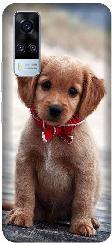 URCHIN Back Cover for Vivo Y31 Dog, Cute dog, puppy, animals, pets, cute puppy, love, Dogs  (Multicolor, Shock Proof, Pack of: 1)