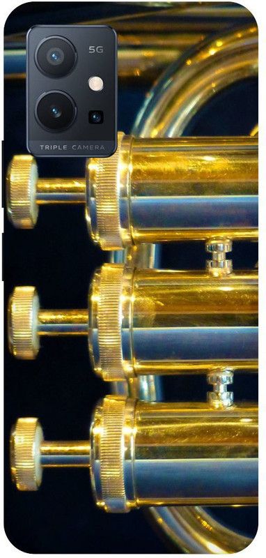 Bluvver Back Cover for Vivo T1 5G, V2141 Printed Brass Back Cover  (Multicolor, Hard Case, Pack of: 1)