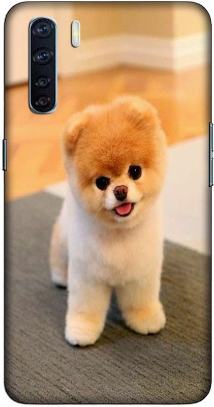 CROKIAN Back Cover for Oppo F15 Cute dog Back Cover  (Multicolor, Hard Case, Pack of: 1)