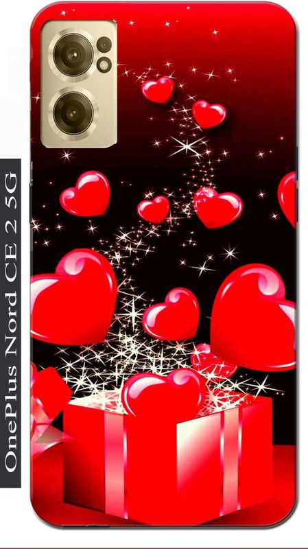 BIVAX Back Cover for ONEPLUS NORD CE 2 5G  (Multicolor, Grip Case, Silicon, Pack of: 411)