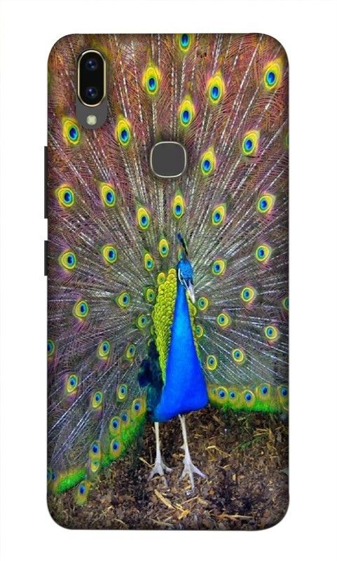 LUCKY MOBI.COM Back Cover for VIVO V9 YOUTH ( mor pankh wallpaper) PRINTED BACK COVER  (Multicolor, Waterproof, Pack of: 1)