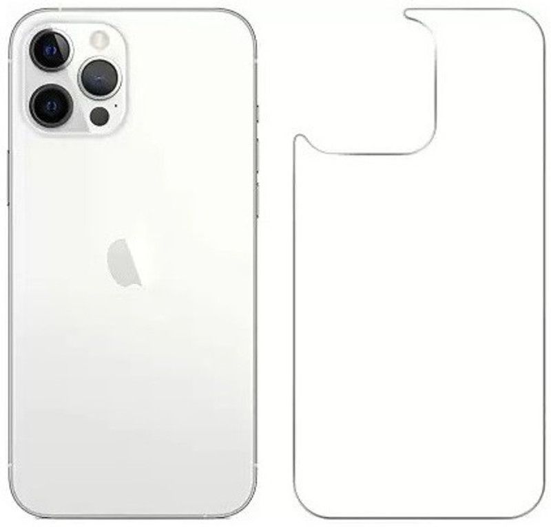DSCASE Back Screen Guard for APPLE iPhone 14 Pro Max, iPhone 14 Pro Max  (Pack of 1)