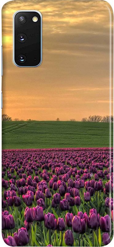 LETAPS Back Cover for Samsung Galaxy S20  (Multicolor, Hard Case)