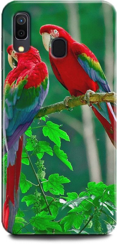 INDICRAFT Back Cover for Samsung Galaxy A20, Parrot, Printed  (Multicolor, Shock Proof)