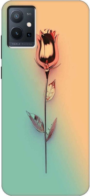 Nassion Back Cover for Vivo T1 5G  (Multicolor, Dual Protection, Silicon, Pack of: 1)
