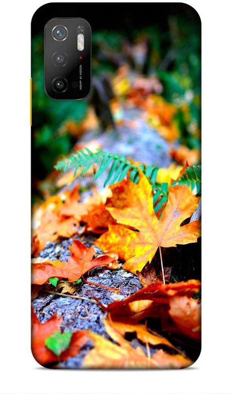 CRAFTARA Back Cover for Xiaomi Poco M3 Pro  (Multicolor)