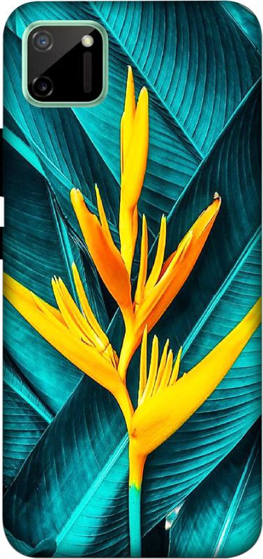 kolli Back Cover for Realme C11  (Multicolor, Hard Case)