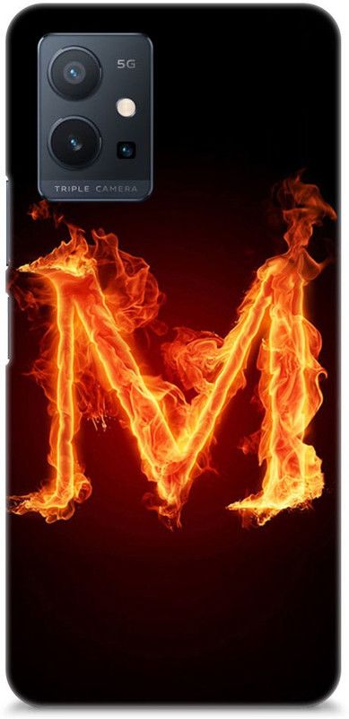 Chiraiyaa Back Cover for vivo T1 5G  (Black, Orange)