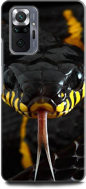 Wall Art Back Cover for Redmi Note 10 Pro SNAKE, ANIMAL, COLORFULL NATURE, BEAUTIFLL NATURE  (Multicolor, Dual Protection, Pack of: 1)