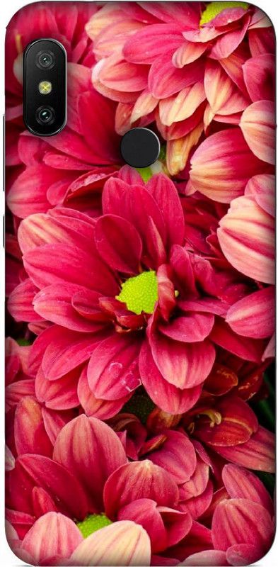 Faybey Back Cover for Mi Redmi 6 pro  (Multicolor, Hard Case)