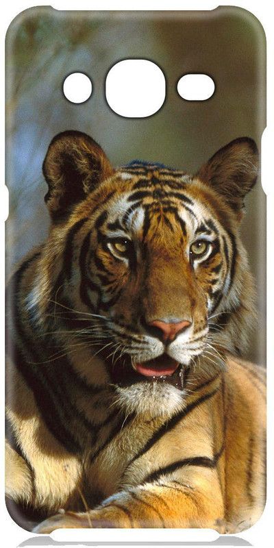 Smutty Back Cover for Samsung Galaxy J2 - 2016, M-J210F, SM-J210G - Tiger Print  (Multicolor, Hard Case)