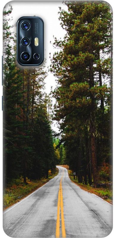 Casotec Back Cover for Vivo V17  (Multicolor, 3D Case)