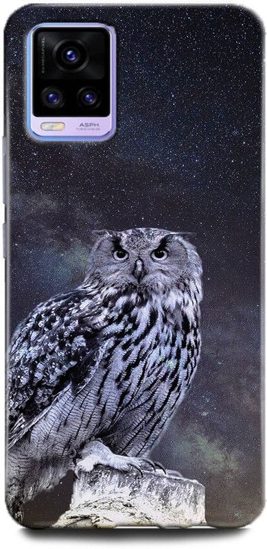 Afterglow Back Cover for Vivo V20 DARK OWL, 4K, BEAUTIFUL, DARK NIGHT, OWL  (Multicolor, Shock Proof, Pack of: 1)