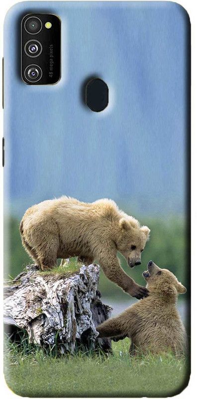 NDCOM Back Cover for Samsung Galaxy M31 Bear Animal Printed  (Multicolor, Hard Case, Pack of: 1)