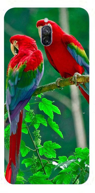 Golden Mask Back Cover for Redmi 8A Dual Green Background Maccow  (Multicolor, Waterproof, Silicon, Pack of: 1)
