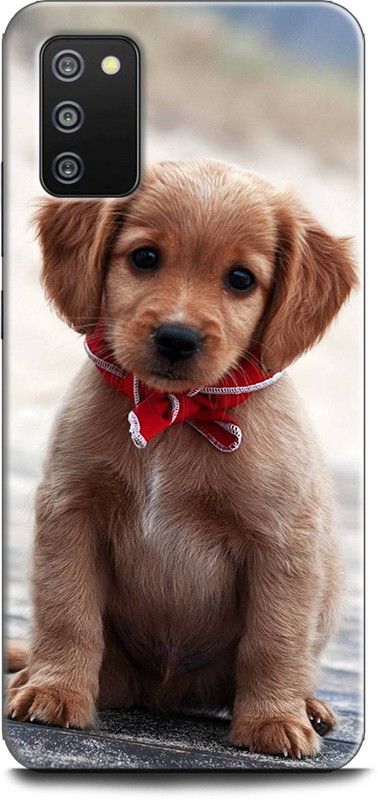 Afterglow Back Cover for SAMSUNG Galaxy M02s DOG, CUTE DOG, PUPPY, ANIMALS, PETS, CUTE PUPPY, LOVE, DOGS  (Multicolor, Shock Proof, Pack of: 1)