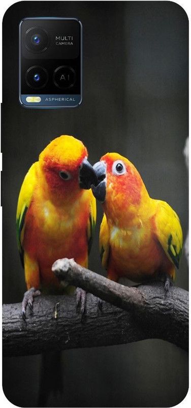 Bluvver Back Cover for Vivo Y21,V2111, Printed Love Couple Birds Mobile Back Cover  (Multicolor, Hard Case, Pack of: 1)