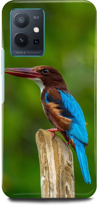 FIKORA Back Cover for Realme 9i, RMX3491, PARROT, COLORFULL, BIRD, KINGFISHER  (Green, Hard Case, Pack of: 1)