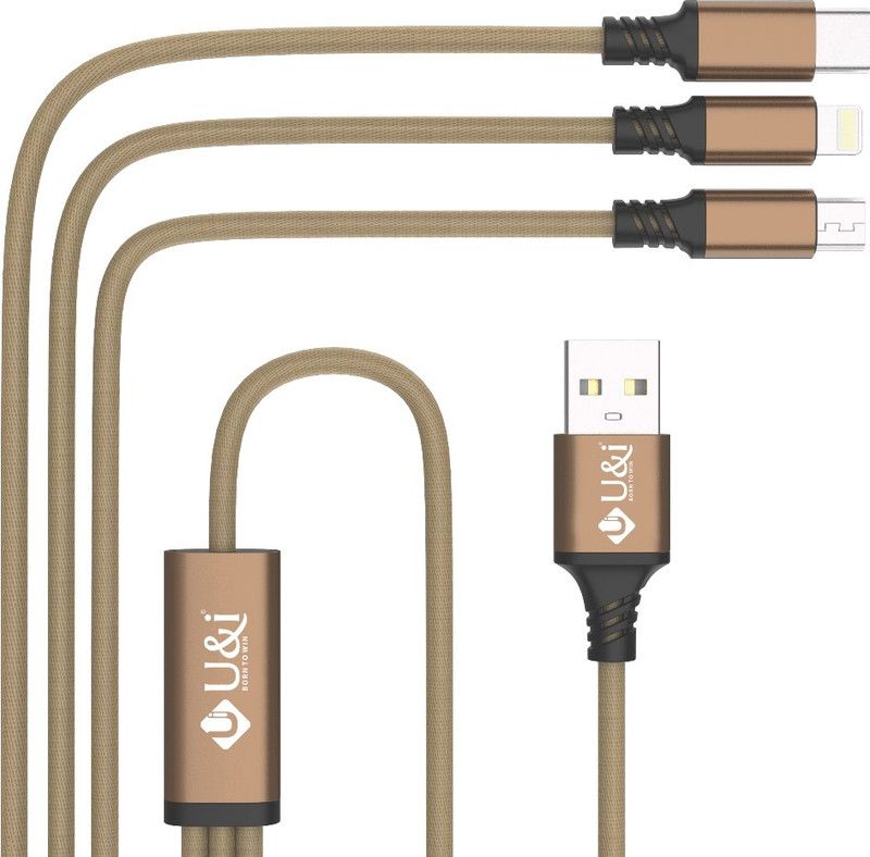 Bold Series 3 in 1 Data Cable, 2.4A 1.2m 1.2 m Micro USB Cable  (Compatible with All Android Devices, All Lightning Devices, Gold)