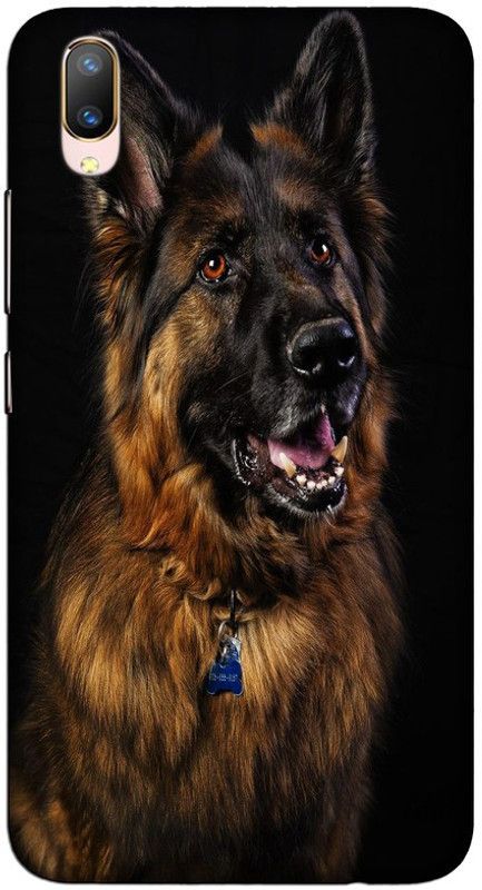 CROKIAN Back Cover for ViVO V11 Pro Jermen dog Back Cover  (Multicolor, Hard Case, Pack of: 1)