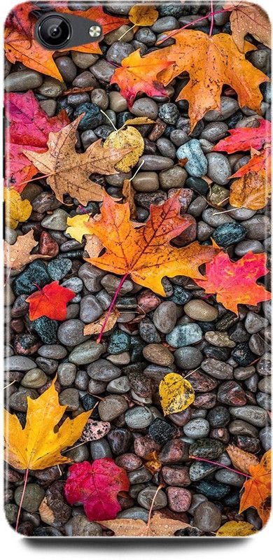 DIKRO Back Cover for vivo Y71i, 1801, NATURE, STONE, LEAF, ABSTRACT, ART, LOVE  (Multicolor, Hard Case, Pack of: 1)