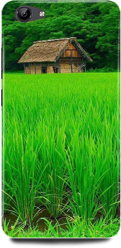 DIKRO Back Cover for vivo Y67, GREEN, HOUSE, GRASS  (Multicolor, Hard Case, Pack of: 1)