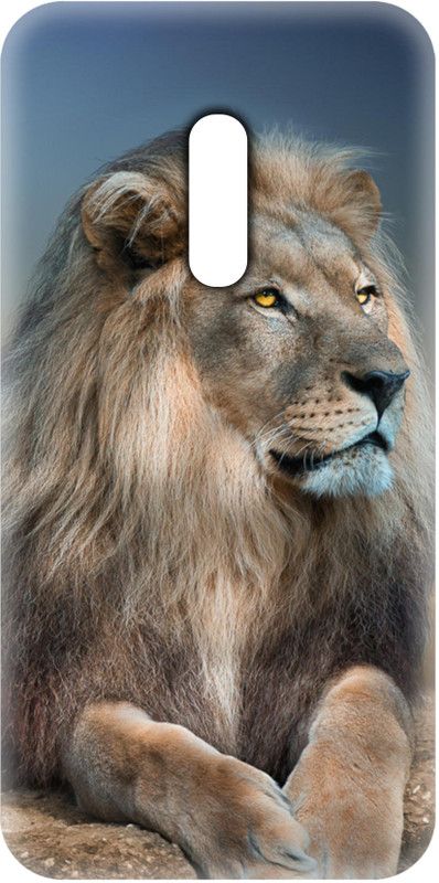 Smutty Back Cover for Realme X, RMX1901, RMX1903 - Lion Print  (Multicolor, Hard Case, Pack of: 1)