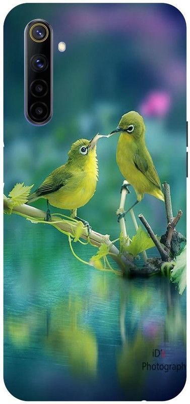 Wall Art Back Cover for Realme 6i Birds, Animals, Two parrot  (Multicolor, Dual Protection, Pack of: 1)