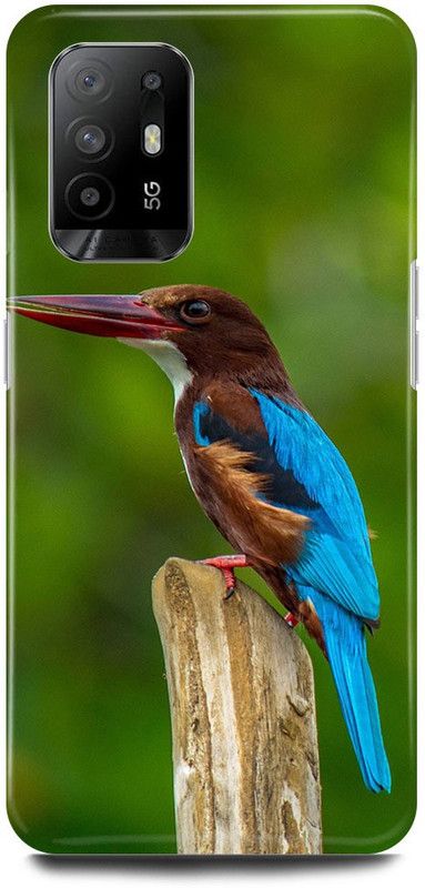FIKORA Back Cover for Oppo F19 Pro PLUS 5G, PARROT, COLORFULL, BIRD, KINGFISHER  (Green, Hard Case, Pack of: 1)