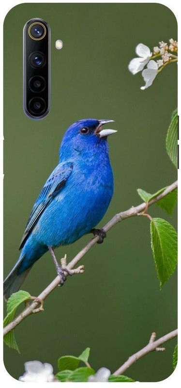 Wall Art Back Cover for Realme 6 Pro Blue Bird, Animals  (Multicolor, Dual Protection, Pack of: 1)