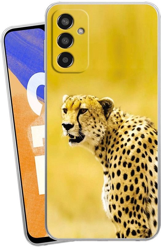 Mitvaa Back Cover for Samsung Galaxy F13  (Multicolor, Dual Protection, Silicon, Pack of: 1)