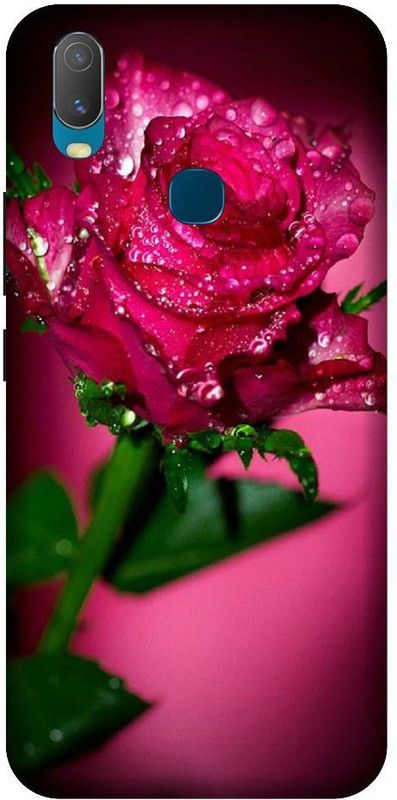 URCHIN Back Cover for Vivo Y11 Rose, Roses, Red rose, Flower  (Multicolor, Shock Proof, Pack of: 1)