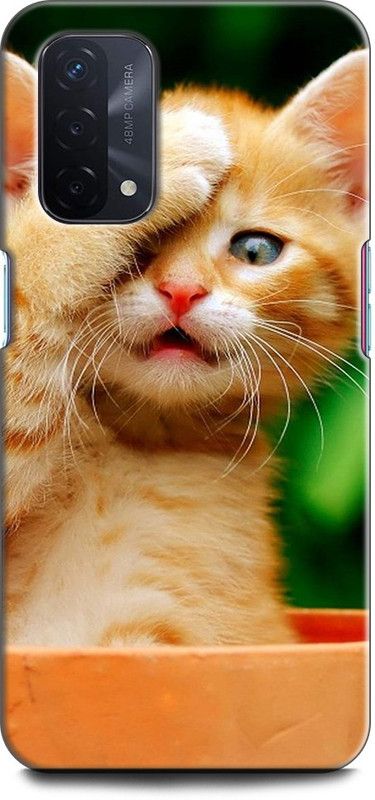 Afterglow Back Cover for Oppo A74 5G CAT, ANIMAL, CUTE CAT, FUNNY, MEOW  (Multicolor, Shock Proof, Pack of: 1)
