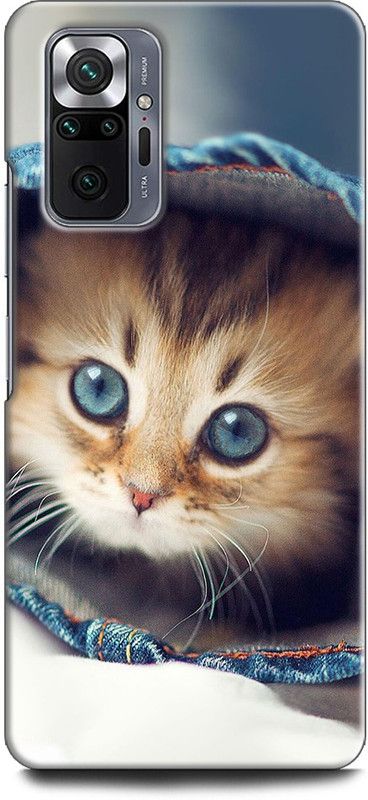 KEYCENT Back Cover for REDMI Note 10 Pro Max CAT, CUTE CAT, BLUE EYS  (Multicolor, Pack of: 1)