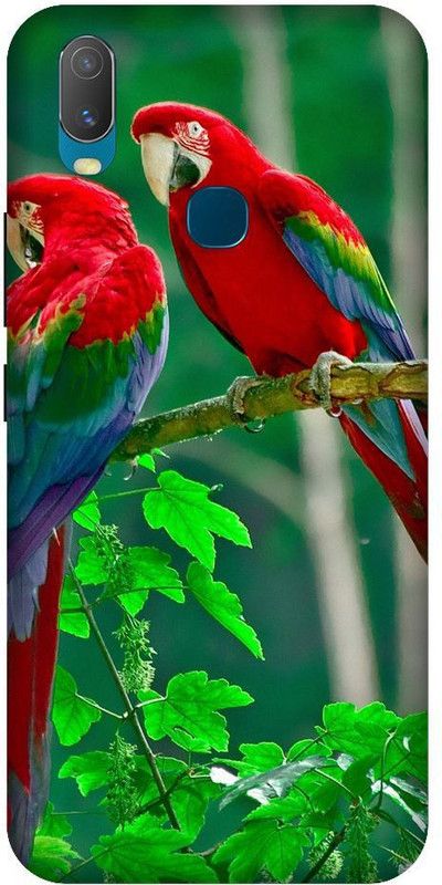 URCHIN Back Cover for Vivo Y15 Parrot, Natural, Nature, tropical, birds, parrot couple, cute, beautiful  (Multicolor, Shock Proof, Pack of: 1)