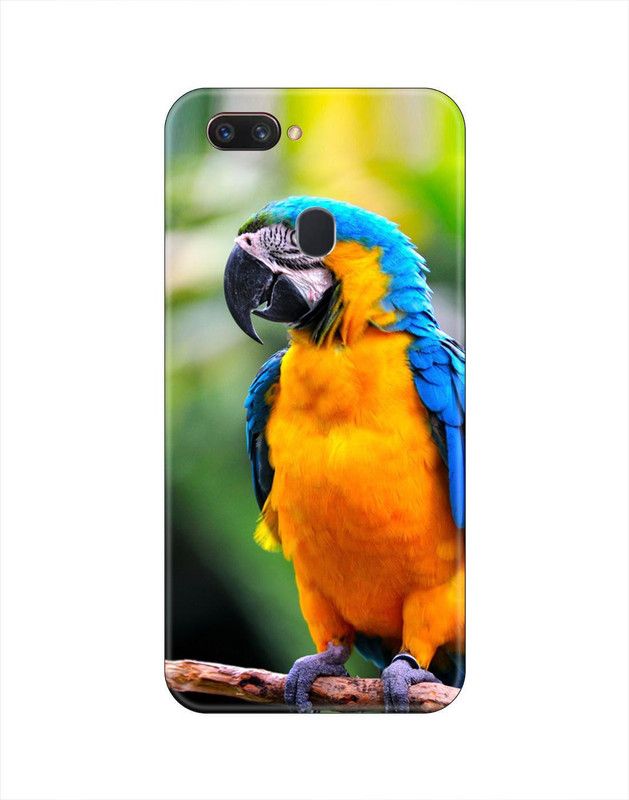 Smutty Back Cover for OPPO A5s, CPH1909, CPH1920 - Parrot Print  (Multicolor, Hard Case, Pack of: 1)