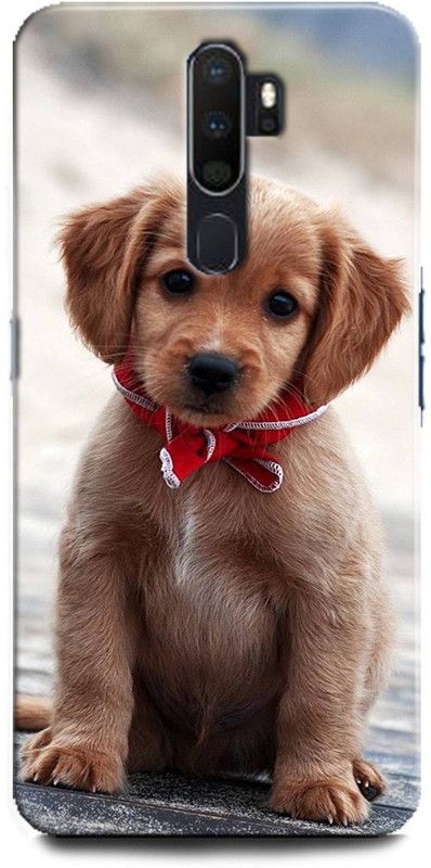 Afterglow Back Cover for OPPO A5 2020 DOG, CUTE DOG, PUPPY, ANIMALS, PETS, CUTE PUPPY, LOVE, DOGS  (Multicolor, Shock Proof, Pack of: 1)